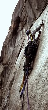 El Capitan: Near the top of the stone in Yosemite valley Copyright Brad Carlile