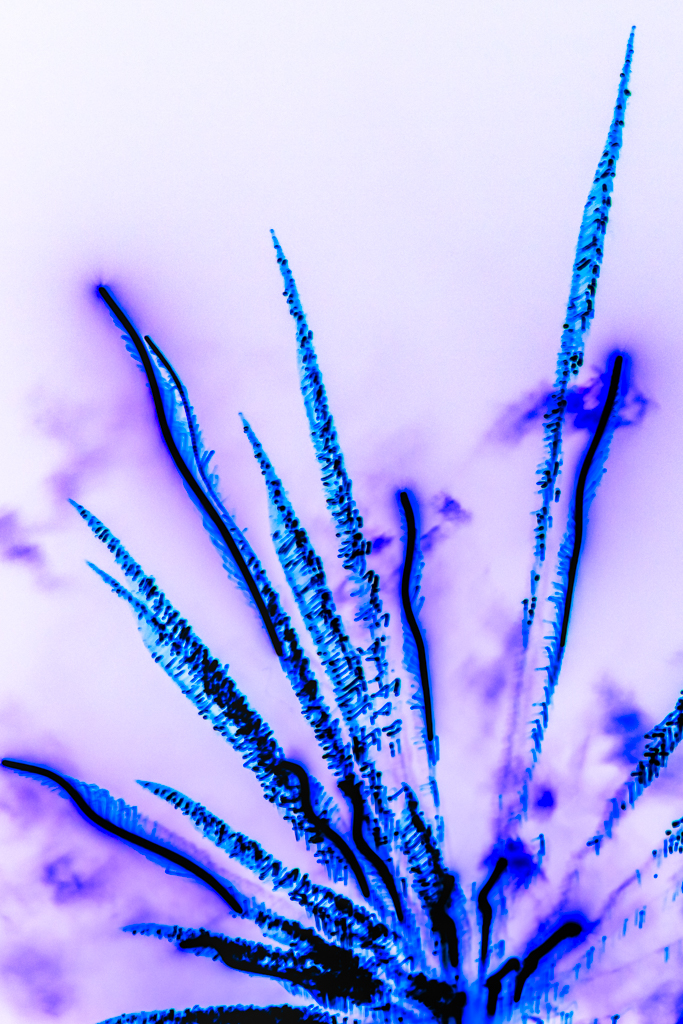 Radiant Ether #211