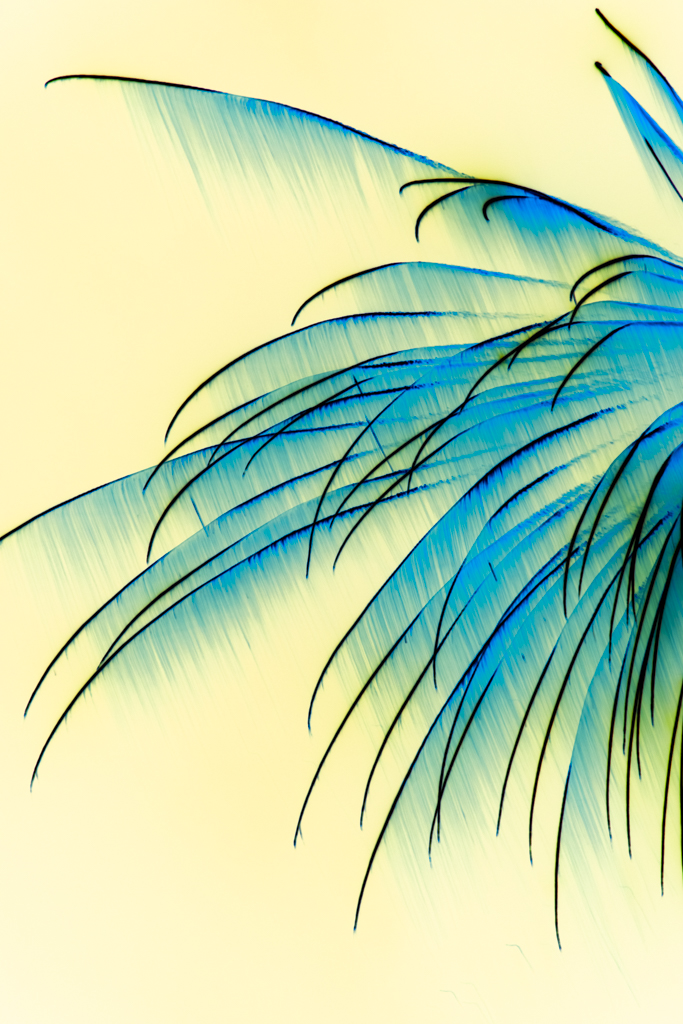 Radiant Ether #333