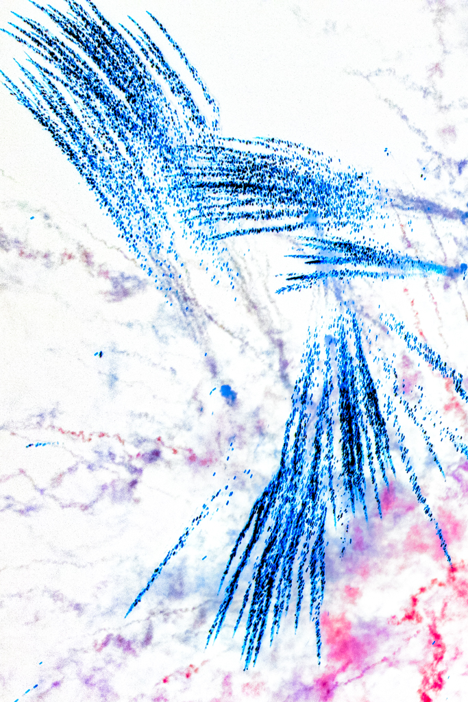 Radiant Ether #350