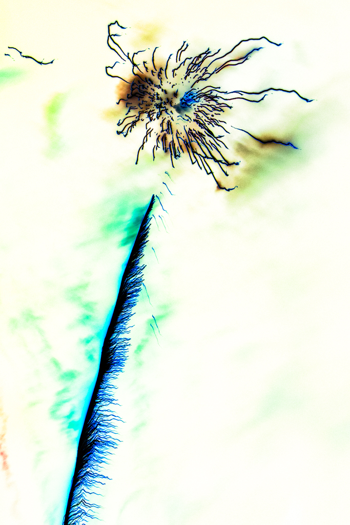 Radiant Ether #359