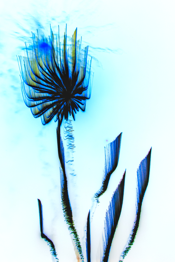 Radiant Ether #521