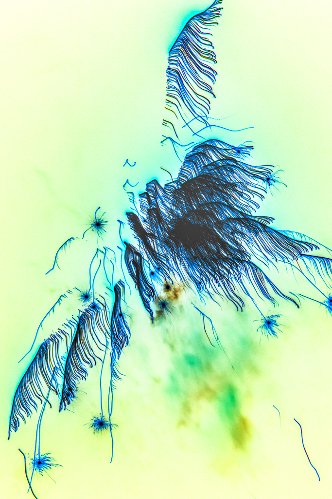 Radiant Ether #603