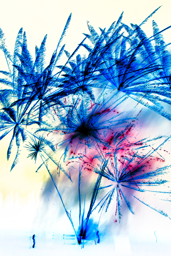 Radiant-Ether_brad-carlile-set2_195