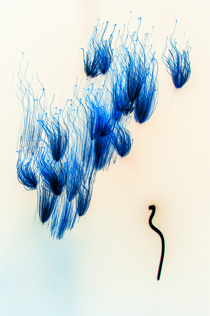 Radiant-Ether_brad-carlile-set2_352