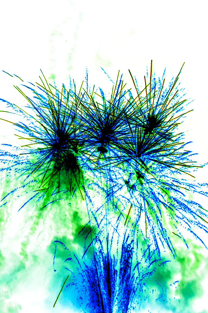 Radiant-Ether_brad-carlile-set2_688