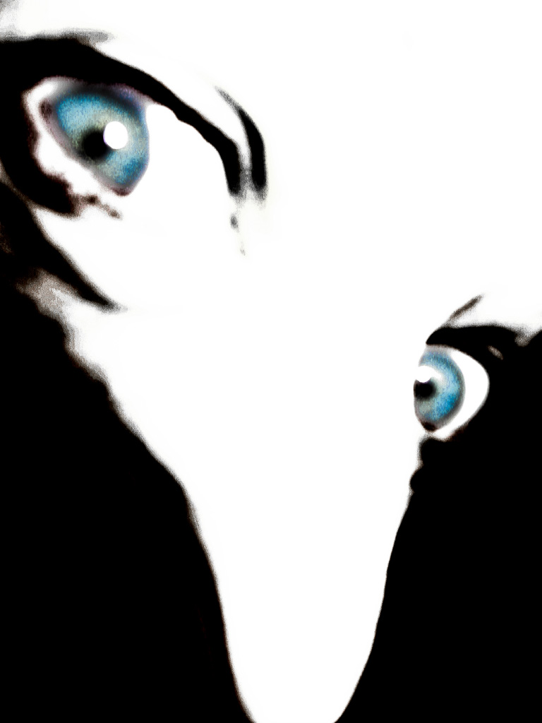 Blue Eyes by Brad Carlile