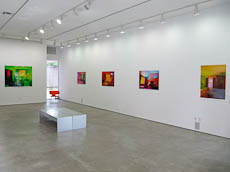 Brad Carlile De Santos Gallery Installation view 1