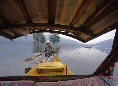 Srinagar Kashmir: View of Char Chinar Island from Shikara Shikaras are the water taxis of Dal Lake Fine Art Photography copyright 2004 Brad Carlile
